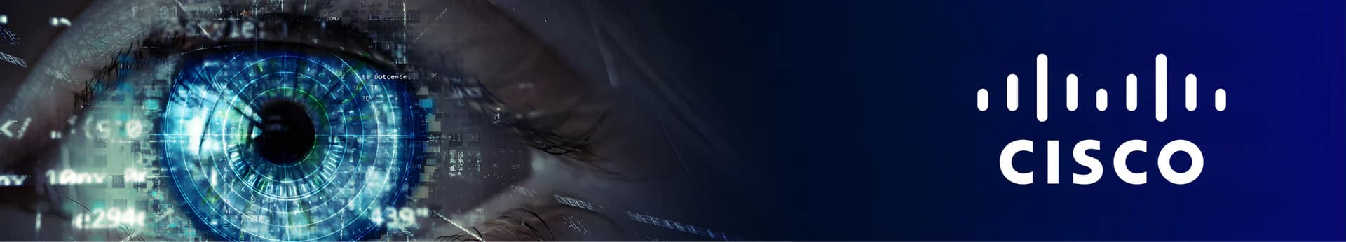 Cisco company banner