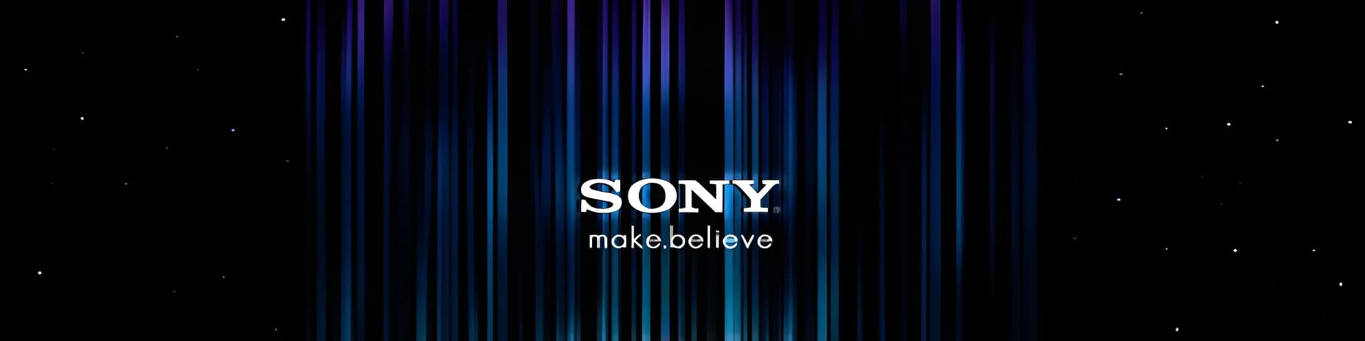 Sony company banner