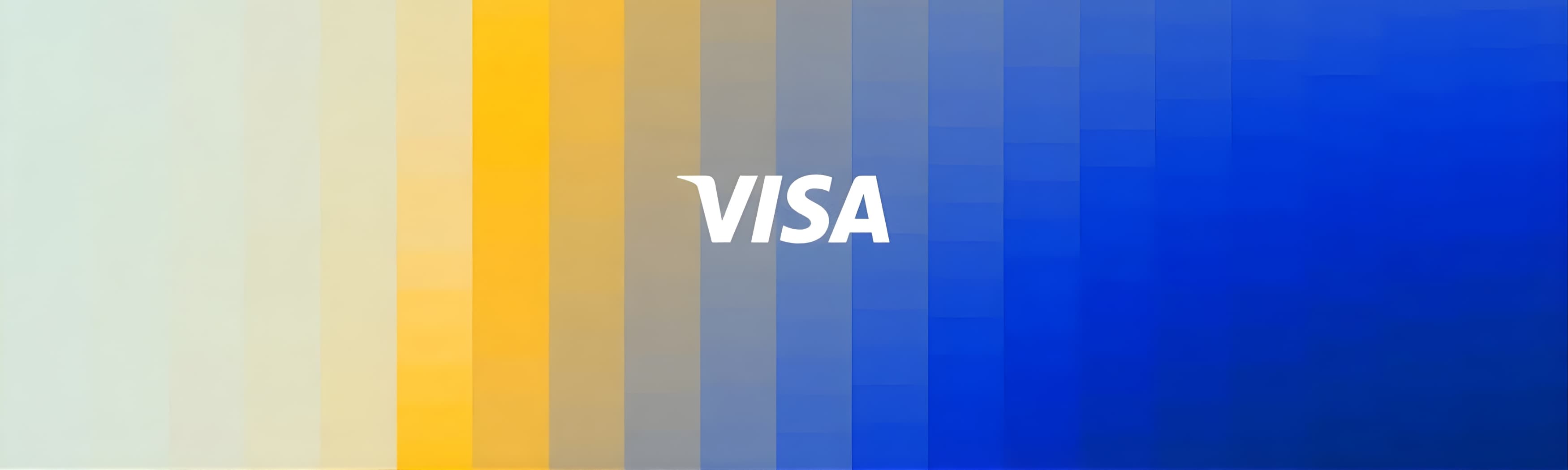 Visa company banner