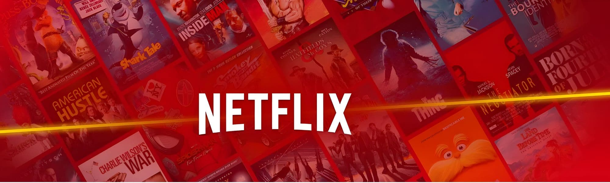 Netflix company banner