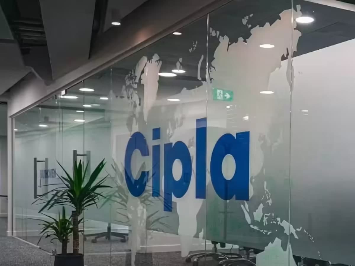 Cipla office environment 1