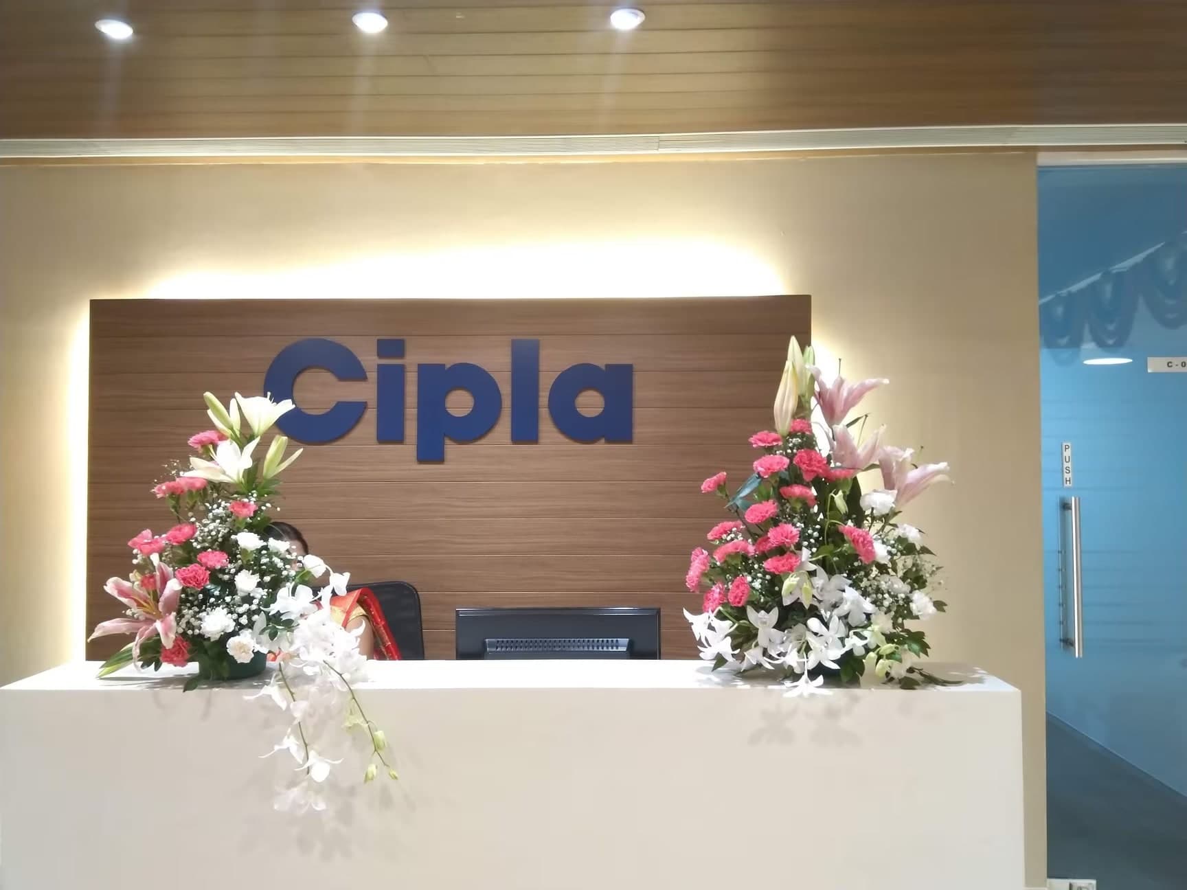 Cipla office environment 2